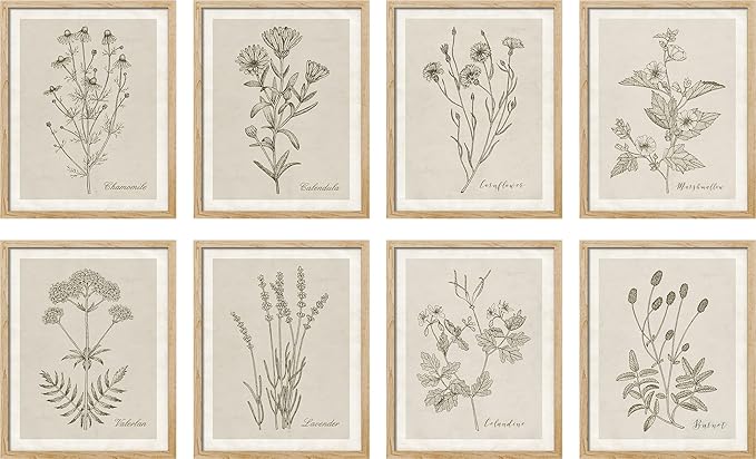 SIGNWIN Framed Poster Wall Art Set of Wildflower, Botanical Floral, Minimalist Decor, Vintage Poster for Living Room, Bedroom, Office - 8"x10"x 8 Natural