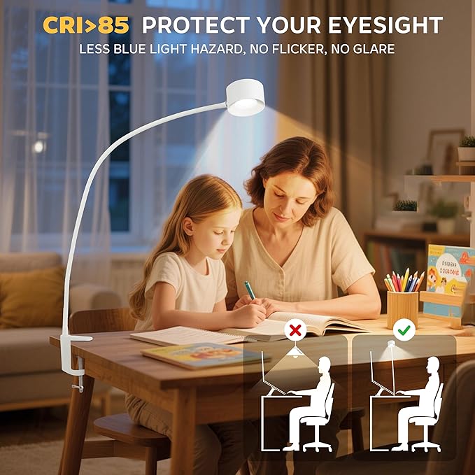 Portable and Rechargeable LED Desk Lamp,Versatile Lighting Solution for Office, Study, and Outdoor Activities，White
