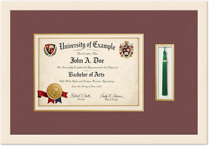 Diploma and Tassel Frame Fits 11.69 x 8.27 A4 Certificate with Tasse Coastal Whitewash Genuine Hardwood Shadowbox with Dark Red Over Metallic Gold Double mat