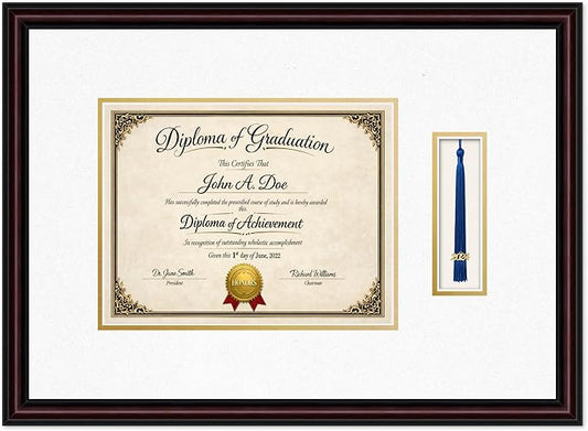 Diploma Frame with Tassel Holder 21.25 x 15.5 Executive Brown Shadowbox Oyster Shell Over Gold Mat - Fits 11 x 8.5 Degree Made in the USA