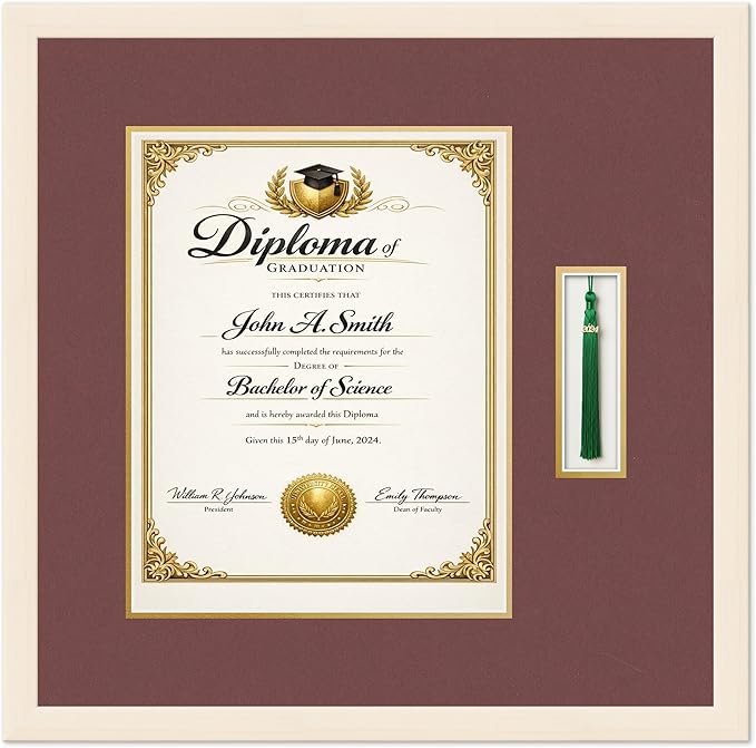 Diploma and Tassel Frame Fits 11 x 14 College Diploma (Portrait) with T Coastal Whitewash Genuine Hardwood Shadowbox with Dark Red Over Metallic Gold Double mat