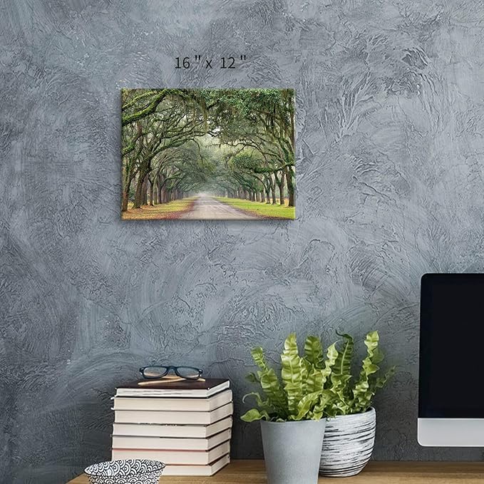 Hardy Gallery Oak Tree Canvas Wall Art: Green Landscape Artwork Forest Picture Painting Small Size for Bathroom (16'' x 12'' x 1 Panel)