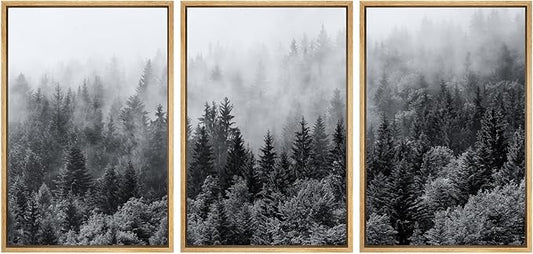 SIGNWIN Framed Canvas Print Wall Art Set Black & White Misty Mountain Forest Nature Wilderness Photography Modern Art Chic Landscape Relax/Calm for Living Room, Bedroom, Office - 24"x36"x3 Natural