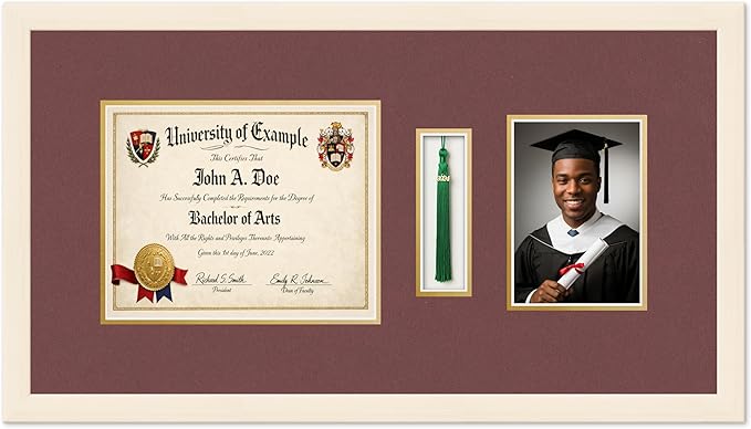 Diploma Tassel and Photo Shadowbox Fits 10 x 8 Professional License with Tassel Ho Coastal Whitewash Genuine Hardwood with Dark Red Over Metallic Gold Double mat