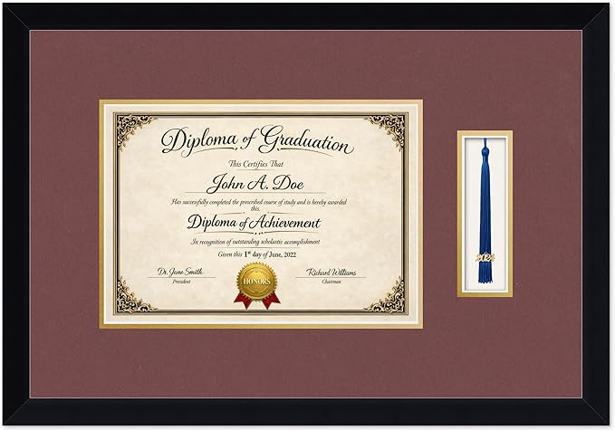 Diploma Frame with Tassel Holder Matte Black Shadowbox Dark Red Over Gold Mat - Fits 11.69 x 8.27 Degree Made in the USA