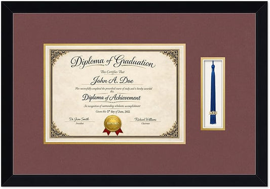 Diploma Frame with Tassel Holder Matte Black Shadowbox Dark Red Over Gold Mat - Fits 11.69 x 8.27 Degree Made in the USA