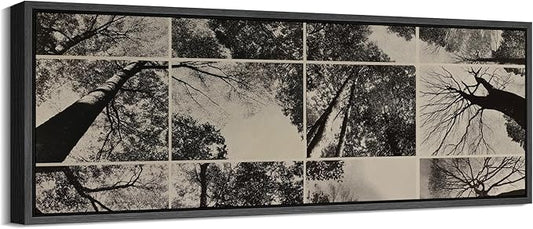 SIGNFORD Large Framed Canvas Print Wall Art Black and White Forest Canopy Grid Collage Illustrations Modern Art Calm Warm for Living Room, Bedroom, Office - 60"x20"