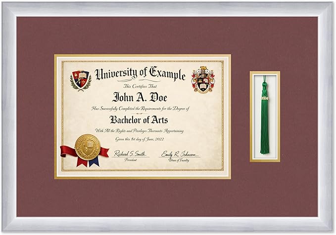 CountryArtHouse Diploma and Tassel Frame Fits 11.69 x 8.27 A4 Certificate with Tassel Stainless Silver Genuine Hardwood Shadowbox with Dark Red Over Metallic Gold Double mat