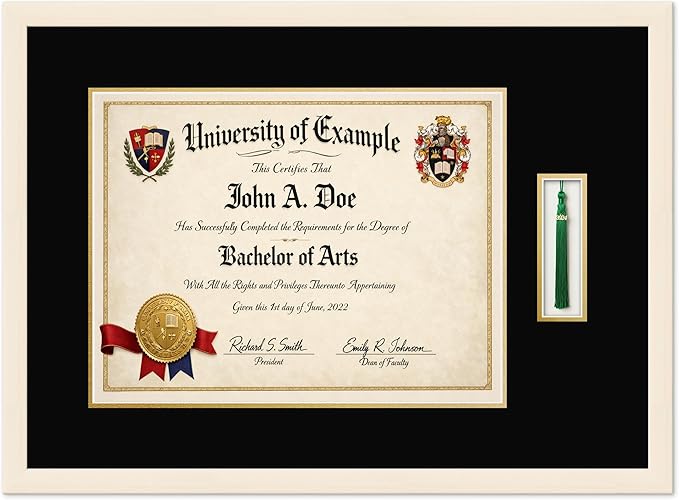 CountryArtHouse Diploma and Tassel Frame Fits 17 x 13 International Diploma with Tassel Ho Coastal Whitewash Genuine Hardwood Shadowbox with Black Over Metallic Gold Double mat