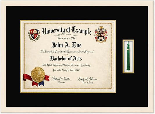 CountryArtHouse Diploma and Tassel Frame Fits 17 x 13 International Diploma with Tassel Ho Coastal Whitewash Genuine Hardwood Shadowbox with Black Over Metallic Gold Double mat