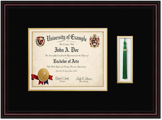 CountryArtHouse Diploma and Tassel Frame Fits 10 x 8 Professional License with Tassel Hook Executive Brown Genuine Hardwood Shadowbox with Black Over Metallic Gold Double mat