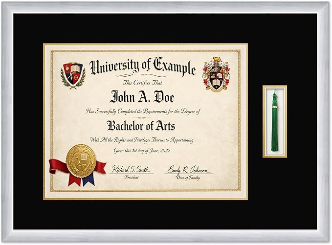 CountryArtHouse Diploma and Tassel Frame Fits 17 x 13 International Diploma with Tassel Hoo Stainless Silver Genuine Hardwood Shadowbox with Black Over Metallic Gold Double mat