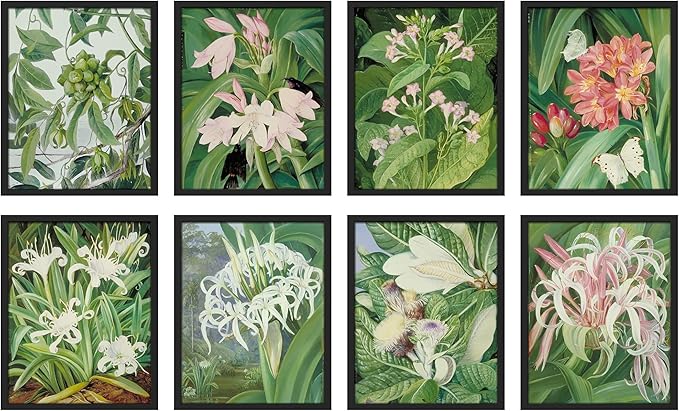 SIGNWIN Framed Poster Bathroom Decor 11"x14"x 8 Black, Wall Art Room Decor Multicolor for Living Room, Bedroom, Office Botanical Floral Garden Zen Flower Classic Vintage Illustrations Bohemian