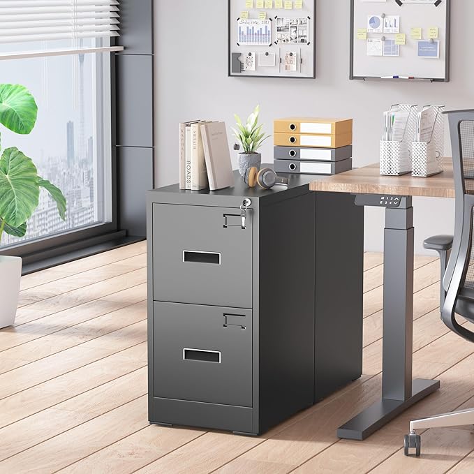 Superday 2 Drawer File Cabinets, 18” D Vertical File Cabinet with Lock, Locking Filing Cabinet for Home Office, Black Metal Filing Cabinets for Hanging Letter/Legal Folders, Easy Assemble