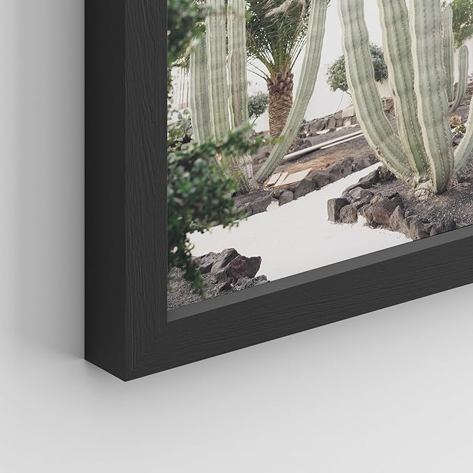 SIGNWIN Framed Poster Wall Art Set of Cactus Desert Nature Wilderness for Living Room, Bedroom, Office - 12"x16"x 8 Black