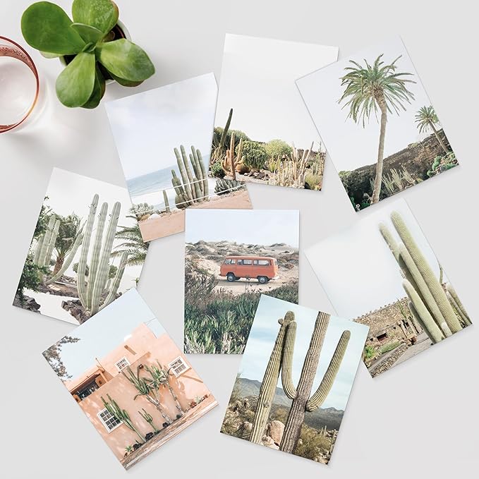 SIGNWIN Poster Wall Art Set of Cactus Desert Nature Wilderness for Living Room, Bedroom, Office - 11"x14"x 8