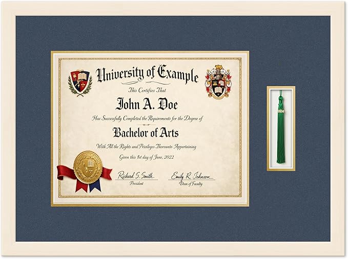 CountryArtHouse Diploma and Tassel Frame Fits 14 x 11 College Diploma (Modern) with Ta Coastal Whitewash Genuine Hardwood Shadowbox with Navy Blue Over Metallic Gold Double mat