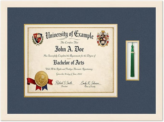 CountryArtHouse Diploma and Tassel Frame Fits 14 x 11 College Diploma (Modern) with Ta Coastal Whitewash Genuine Hardwood Shadowbox with Navy Blue Over Metallic Gold Double mat
