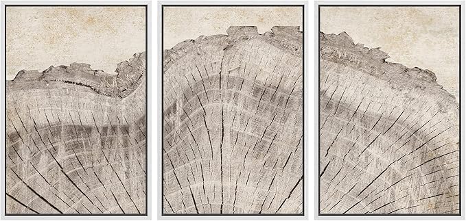 SIGNWIN Framed Canvas Print Wall Art Set Retro Close Up Oak Wood Tree Rings Nature Wilderness Illustrations Modern Art Decorative Farmhouse Zen for Living Room, Bedroom, Office - 24"x36"x3 White