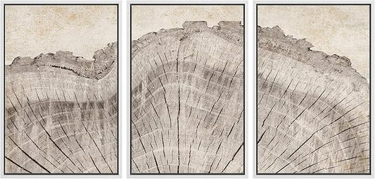 SIGNWIN Framed Canvas Print Wall Art Set Retro Close Up Oak Wood Tree Rings Nature Wilderness Illustrations Modern Art Decorative Farmhouse Zen for Living Room, Bedroom, Office - 24"x36"x3 White