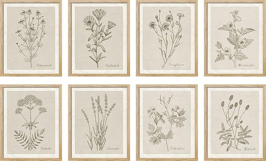 SIGNWIN Poster Wall Art Set of Wildflower, Botanical Floral, Minimalist Decor, Vintage Poster for Living Room, Bedroom, Office - 8"x10"x 8