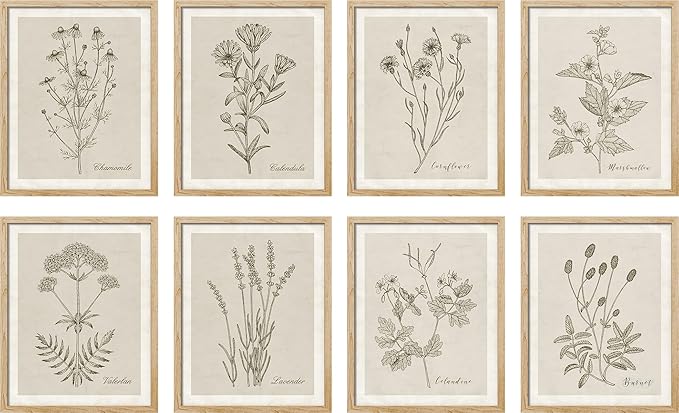 SIGNWIN Poster Wall Art Set of Wildflower, Botanical Floral, Minimalist Decor, Vintage Poster for Living Room, Bedroom, Office - 12"x16"x 8