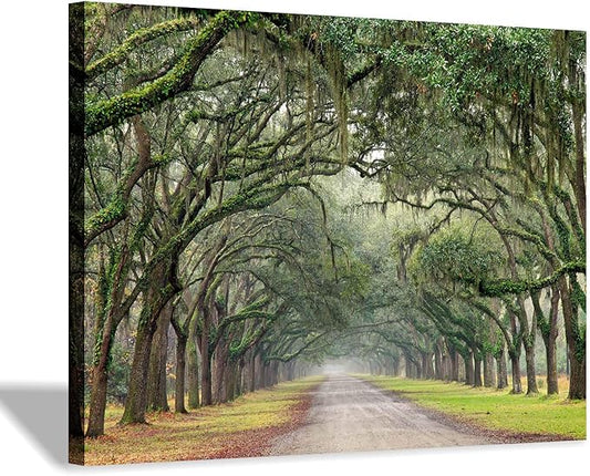 Hardy Gallery Oak Tree Canvas Wall Art: Green Landscape Artwork Forest Picture Painting Small Size for Bathroom (16'' x 12'' x 1 Panel)