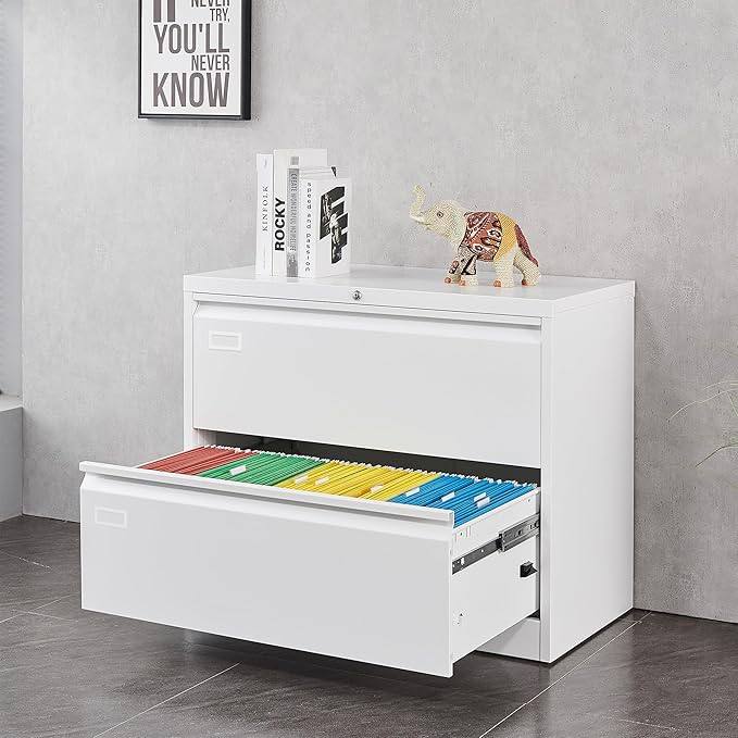 2 Drawer Filing Cabinet, Black Lateral File Cabinet with Lock, Lockable Metal File Cabinet for Home Office, Office File Cabinets for Legal/Letter/A4/F4 Size with Hanging Files&Key (White(2 Drawer))