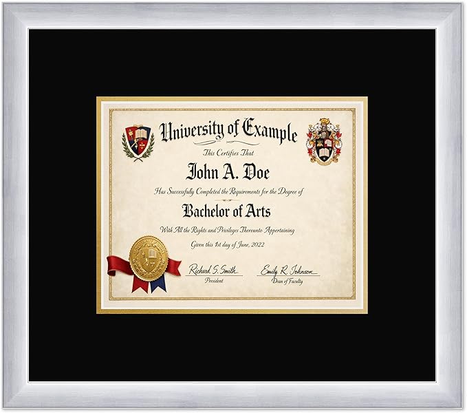 CountryArtHouse Diploma Frame Fits 10 x 8 Professional License - Keepsake Graduation Display Stainless Silver Genuine Hardwood with Black Over Metallic Gold Double mat