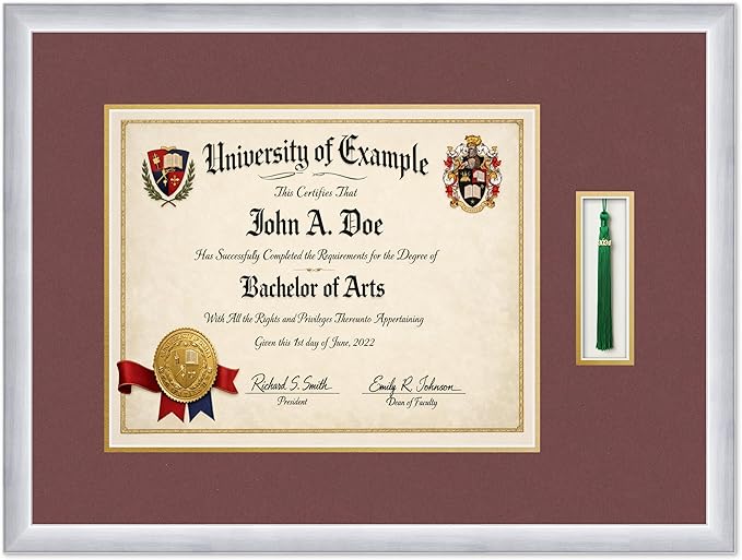 CountryArtHouse Diploma and Tassel Frame Fits 15 x 12 Military/Government with Tassel Ho Stainless Silver Genuine Hardwood Shadowbox with Dark Red Over Metallic Gold Double mat
