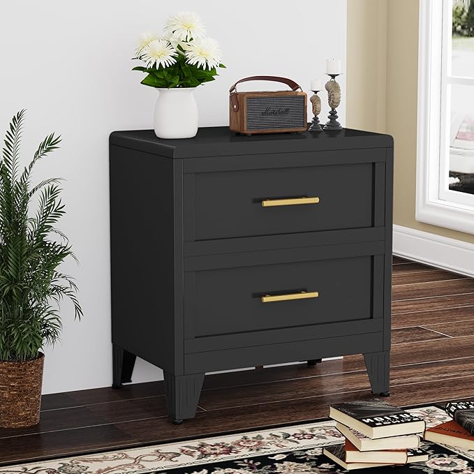 26.42" Tall Dresser for Bedroom 2 Drawers, Metal Dresser Chest of Drawers, Metal NightStand, Circular Drawer Cabinet for Home,Filing Cabinet with Drawers for Office (Black)