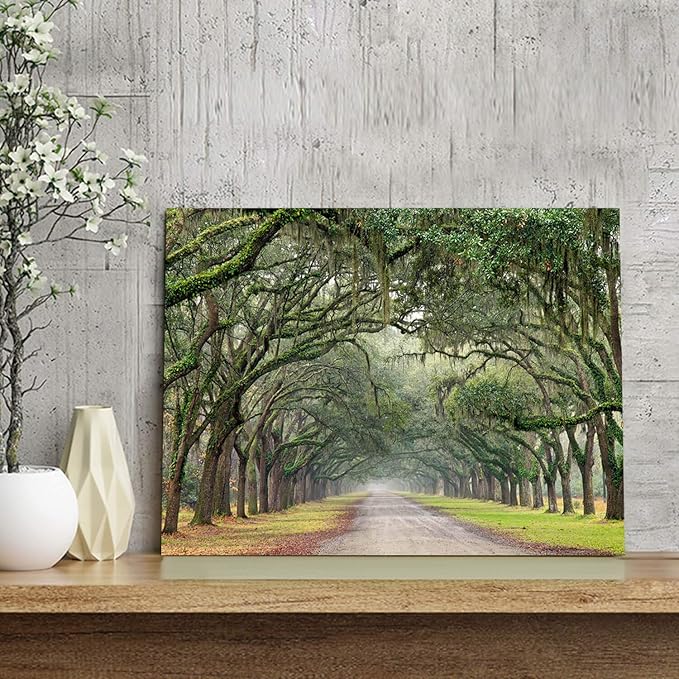 Hardy Gallery Oak Tree Canvas Wall Art: Green Landscape Artwork Forest Picture Painting Small Size for Bathroom (16'' x 12'' x 1 Panel)