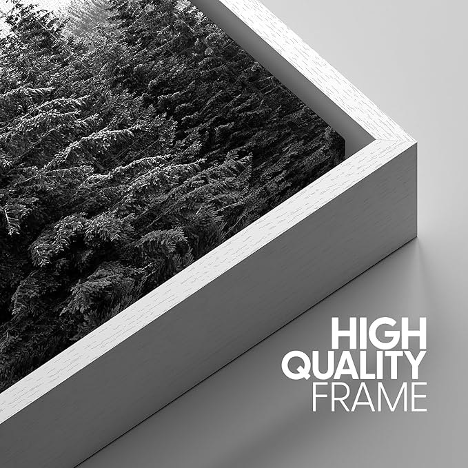 SIGNWIN 3 Piece Framed Canvas Wall Art Woodland Nursery Decor Black and White Forest Photo Nature Illustrations Abstract Traditional Home Artwork Decoration for Living Room,Bedroom - 24"x36"x3 White