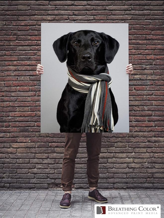 Premium Lyve Matte Canvas Paper Perfect For Use on Professional Makes and Models of Epson, Canon and HP printers preferred by Professionals. 19 mil textured Canvas offered in a 60 inch by 40 ft roll