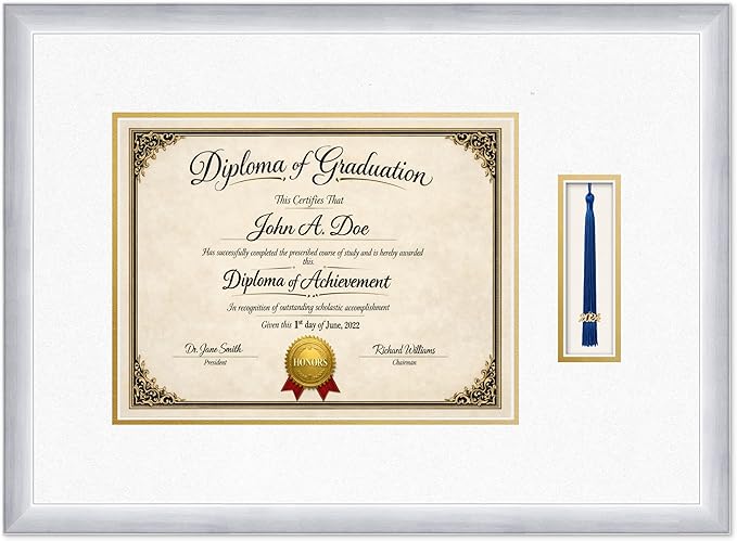 Diploma Frame with Tassel Holder 23.25 x 17 Stainless Silver Shadowbox Oyster Shell Over Gold Mat - Fits 13 x 10 Degree Made in the USA