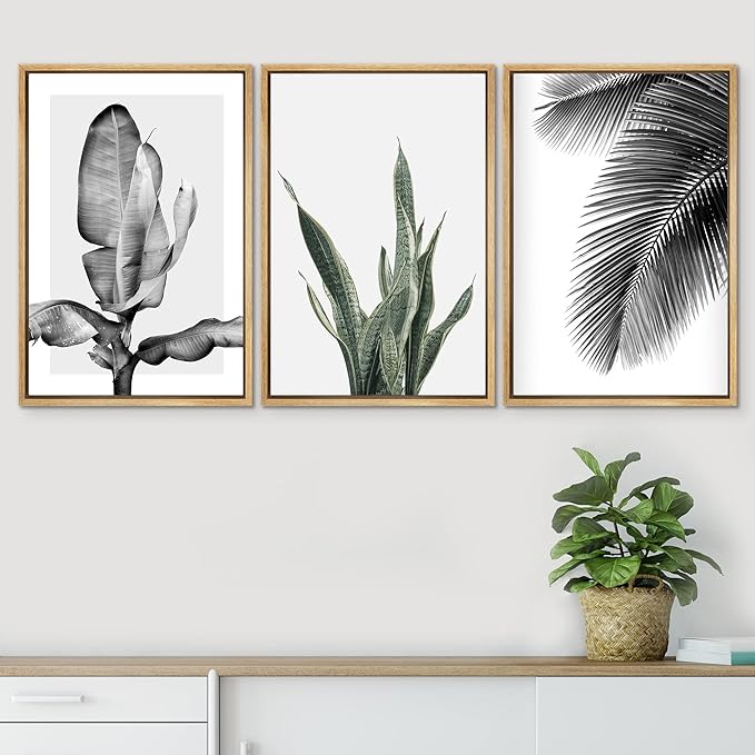 SIGNWIN Framed Canvas Print Wall Art Trio of Jungle Palms & Snake Succulents Floral Plants Photography Modern Art Minimalist Black and White for Living Room, Bedroom, Office - 24"x36"x3 Natural