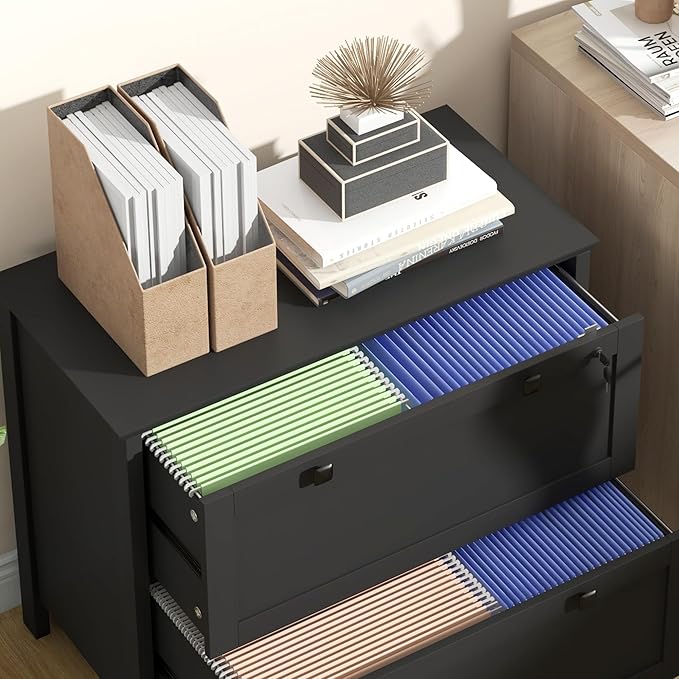 2 Drawer File Cabinet with Lock, Home Office Filing Organizer, for Letter Legal A4 Size Labeled Folders File Folder Storage, Wood Lateral Filing Cabinet (Black-W31.1*D15.7*H28.3in)
