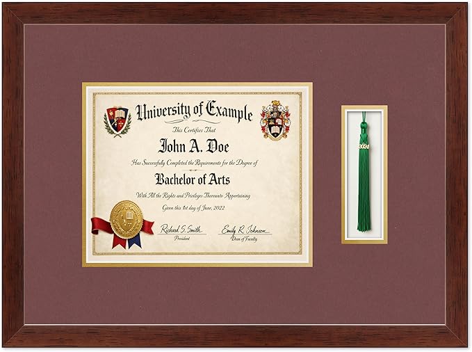 CountryArtHouse Diploma and Tassel Frame Fits 10 x 8 Professional License with Tassel Hook Rustic Walnut Genuine Hardwood Shadowbox with Dark Red Over Metallic Gold Double mat