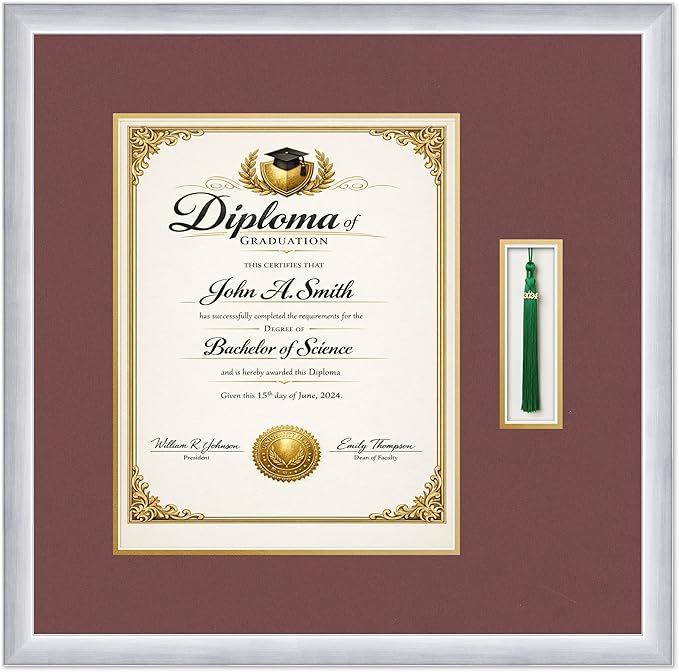 CountryArtHouse Diploma and Tassel Frame Fits 11 x 14 College Diploma (Portrait) with Ta Stainless Silver Genuine Hardwood Shadowbox with Dark Red Over Metallic Gold Double mat