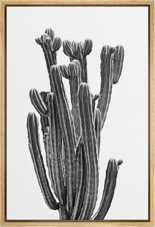 SIGNWIN Framed Canvas Print Wall Art Black White Minimal Saguaro Desert Cactus Nature Wilderness Photography Modern Art Southwest Floral Rustic for Living Room, Bedroom, Office - 16"x24" Natural