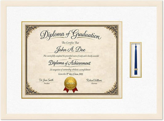 Diploma Frame with Tassel Holder Coastal Whitewash Shadowbox Oyster Shell Over Gold Mat - Fits 17 x 13 Degree Made in the USA