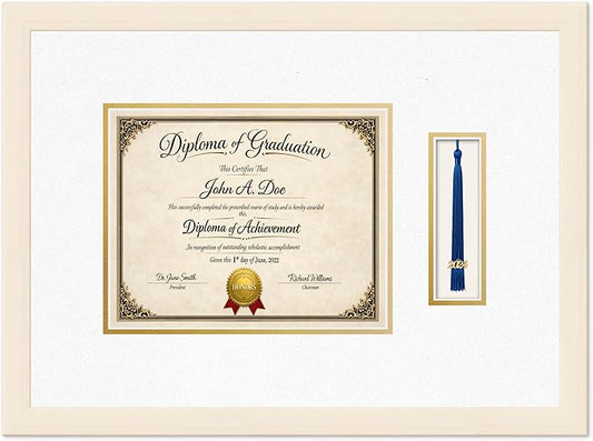 Diploma Frame with Tassel Holder Coastal Whitewash Shadowbox Oyster Shell Over Gold Mat - Fits 10 x 8 Degree Made in the USA
