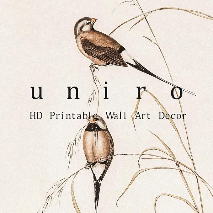 uniro Vintage Bird Wall Art Farmhouse Retro Pictures Canvas Sparrow Birds Poster Abstract Avian Wall Decor birds Themed Vintage Inspired bird Decor Modern Home Decor(8" x 10"-UNFRAMED)
