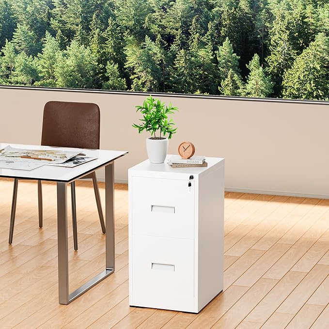 Greenvelly Metal 2 Drawer File Cabinet, Vertical File Cabinet with Lock, Locking Filing Cabinets for Home Office, Letter/Legal/A4/F4 Size/Anti-Tip (White)