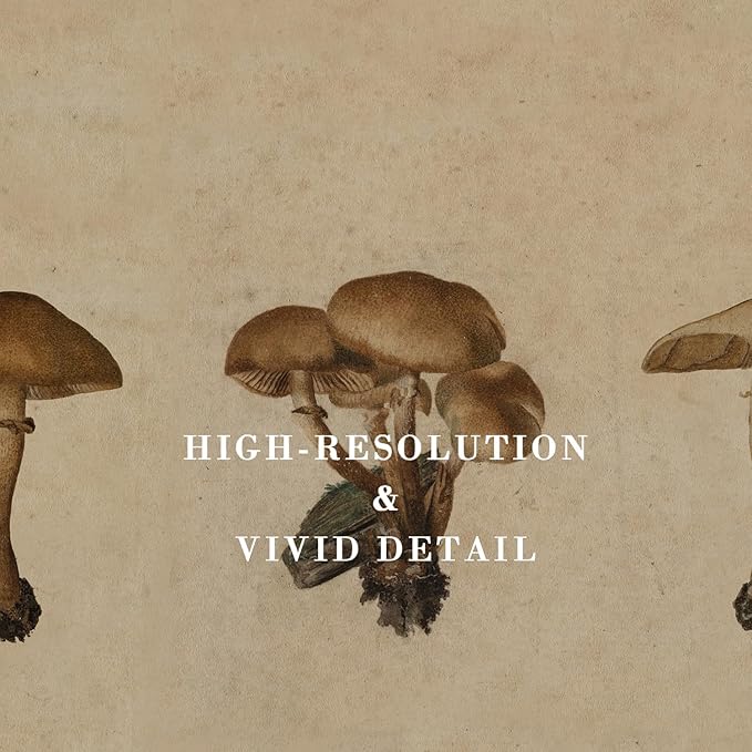 Kizbok Vintage Mushroom Wall Art Poster, Farmhouse Mushroom Wall Decor, Retro Botanical Paintings Cottagecore Room Decor Aesthetic, Neutral Earthy mushroom Picture for Kitchen Bedroom Gallery Nursery Home decor(8" x 10"-UNFRAMED)