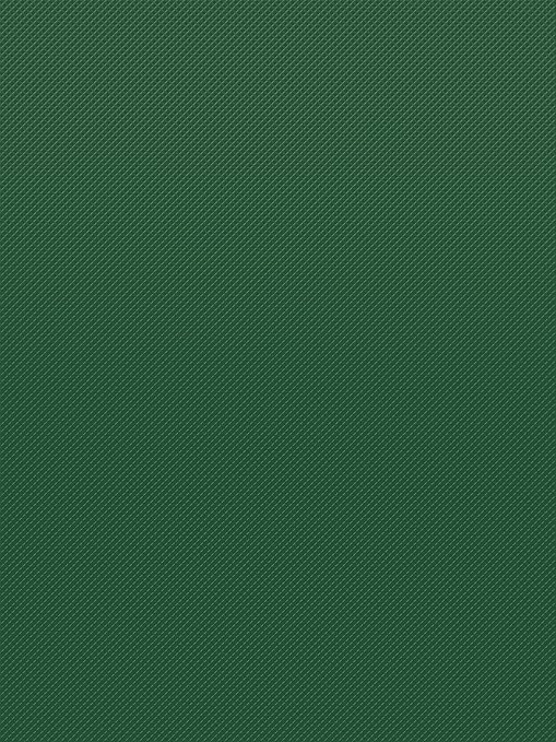 Teacher Created Resources Pine Green Better Than Paper® Bulletin Board Roll (TCR77527)