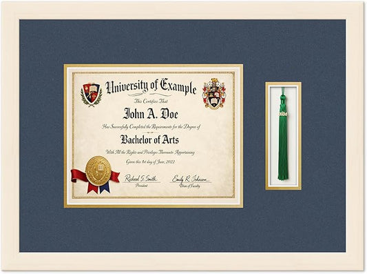 CountryArtHouse Diploma and Tassel Frame Fits 10 x 8 Professional License with Tassel Coastal Whitewash Genuine Hardwood Shadowbox with Navy Blue Over Metallic Gold Double mat