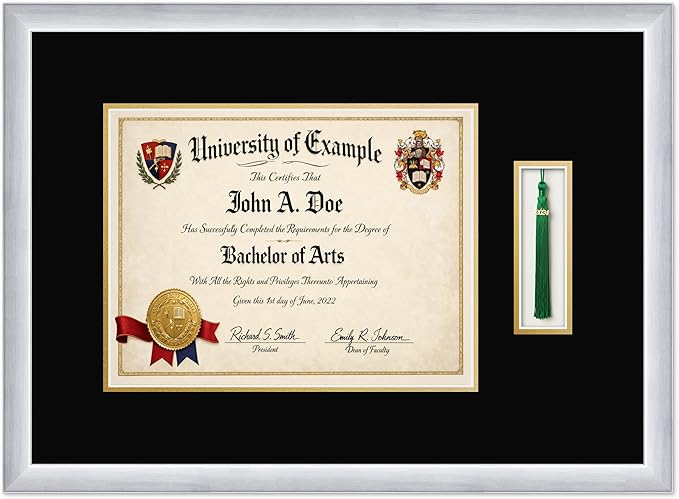 CountryArtHouse Diploma and Tassel Frame Fits 13 x 10 College Diploma (Traditional) with Ta Stainless Silver Genuine Hardwood Shadowbox with Black Over Metallic Gold Double mat