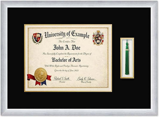 CountryArtHouse Diploma and Tassel Frame Fits 13 x 10 College Diploma (Traditional) with Ta Stainless Silver Genuine Hardwood Shadowbox with Black Over Metallic Gold Double mat