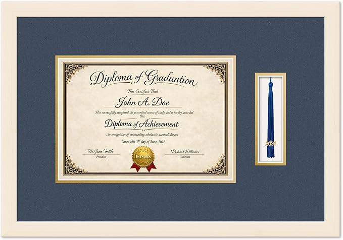 Diploma Frame with Tassel Holder Coastal Whitewash Shadowbox Navy Blue Over Gold Mat - Fits 11.69 x 8.27 Degree Made in the USA